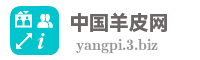 中国羊皮网