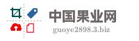 中国果业网