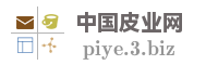 中国皮业网