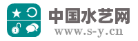 中国水艺网